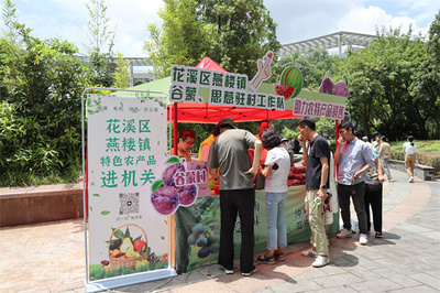 花溪区燕楼镇谷蒙村 驻村工作队变身“推销员”，打通农产品销售最后一公里