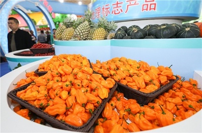 冬交会陵水展馆 68种优质特色农副产品引关注，销售火爆