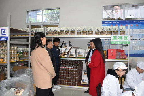 文县电商中心负责人深入一线，检查指导电商协会及企业运营，力促农副产品销售再上新台阶