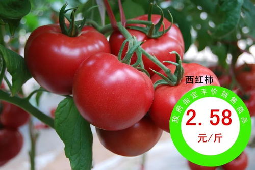 平价惠民，品质安心 政府指定农副产品热销进行时