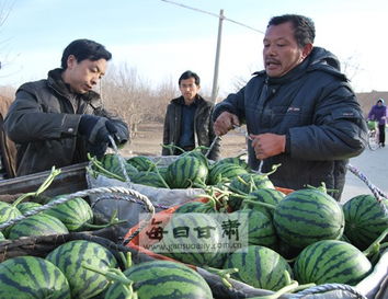 凉州清水乡 多措并举撬动农副产品销售新引擎
